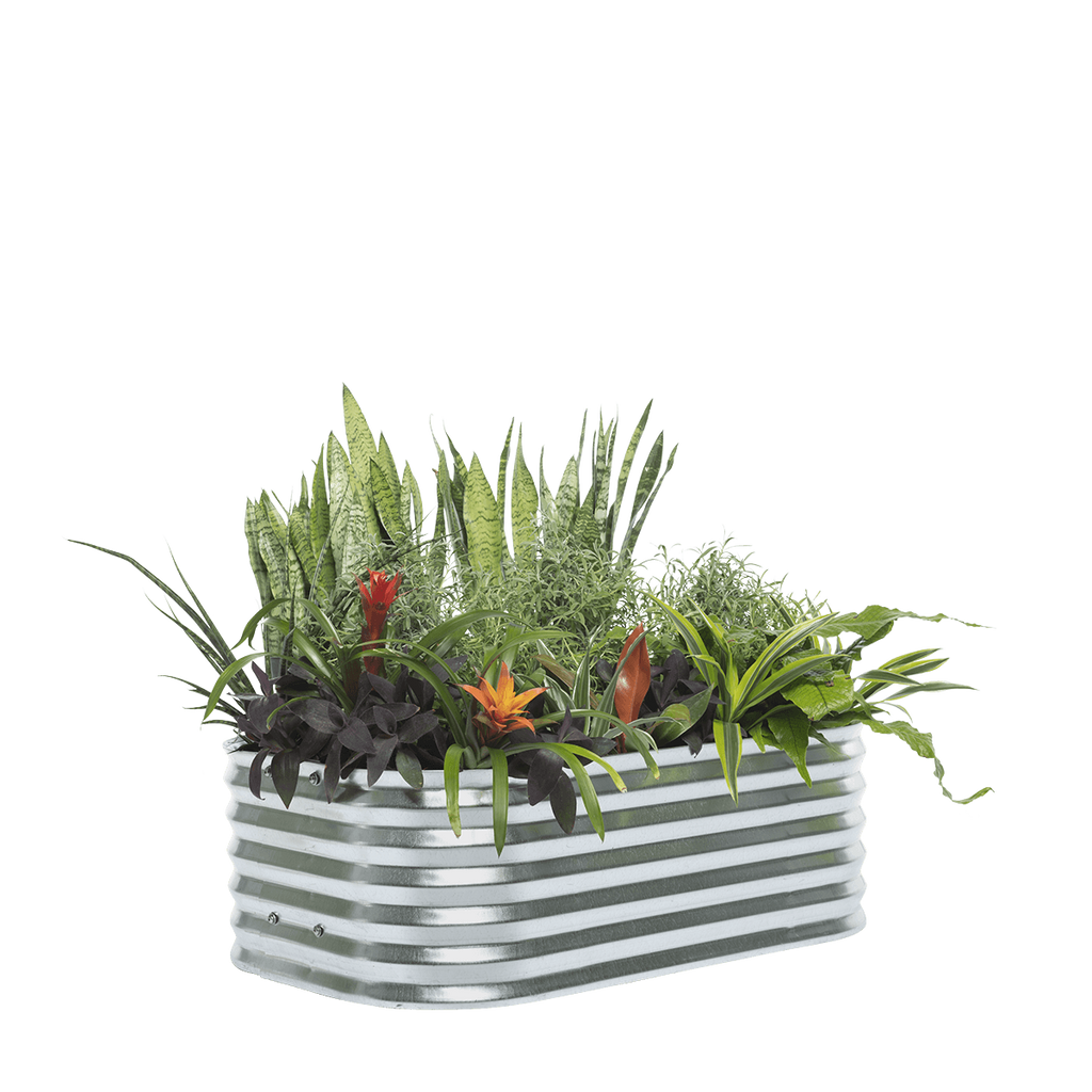 Cottage Raised Garden Bed – 30cm High | Galvanised Steel