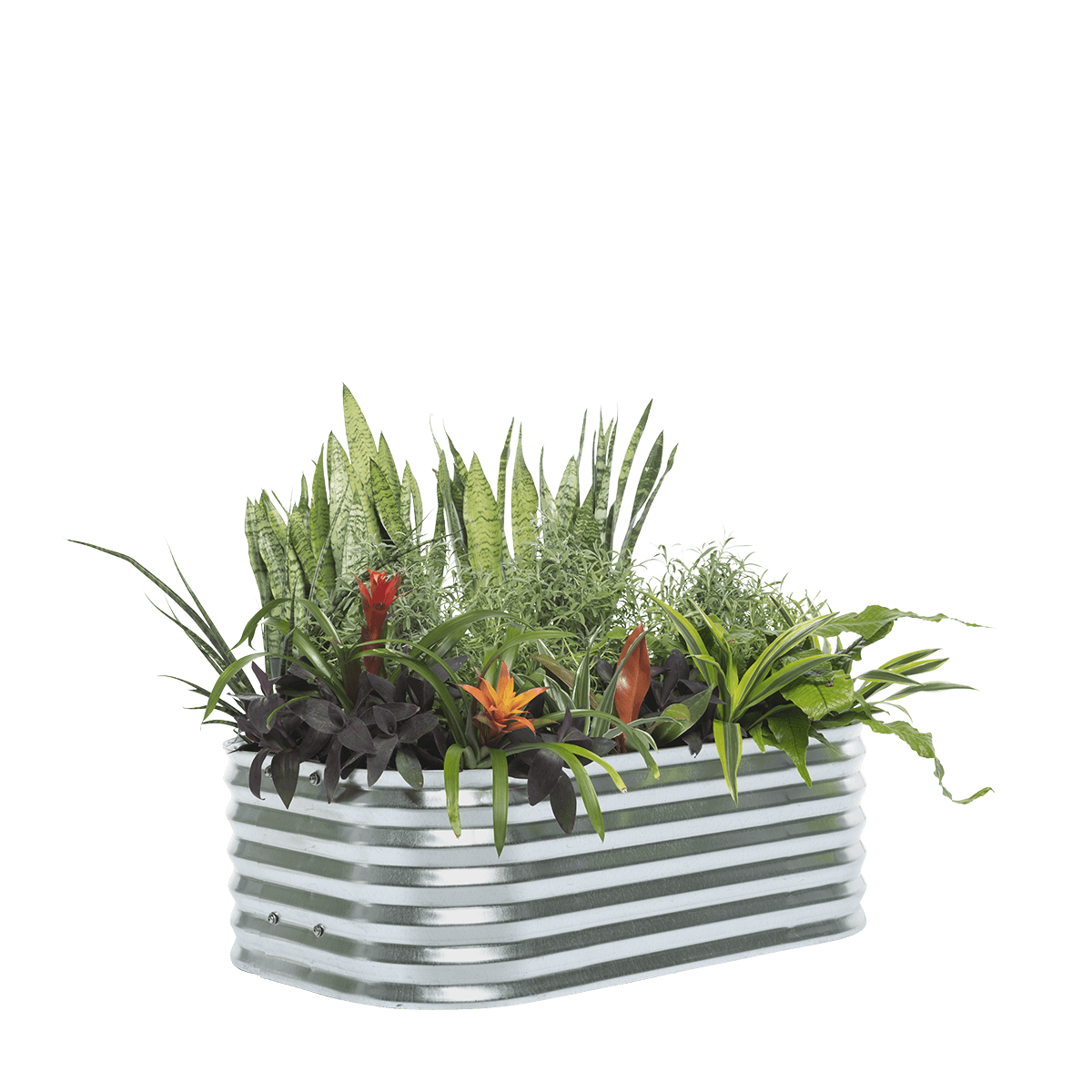 Cottage Raised Garden Bed – 30cm High | Galvanised Steel