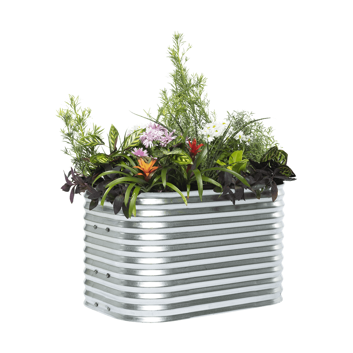 Cottage Raised Garden Bed – 56cm High | Galvanised Steel