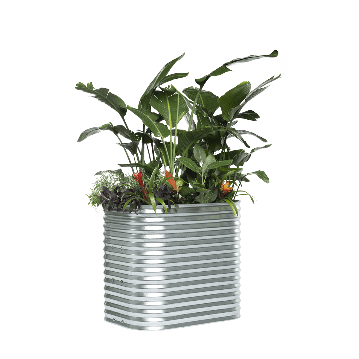 Cottage Raised Garden Bed – 76cm High | Galvanised Steel