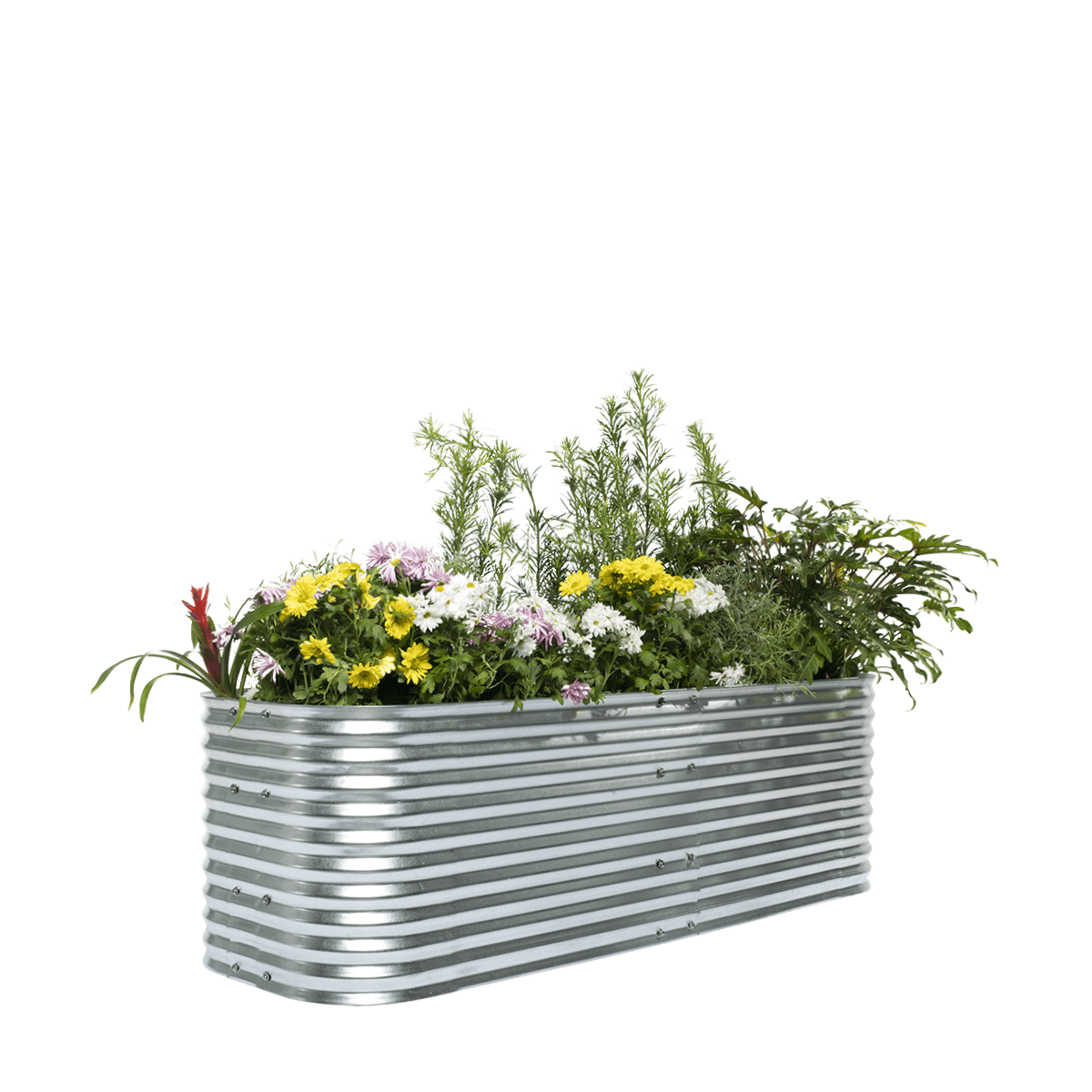 Allotment Raised Garden Bed – 56cm High | Galvanised Steel