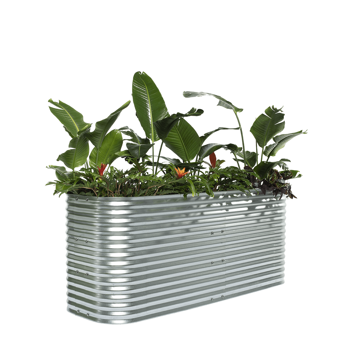 Allotment Raised Garden Bed – 76cm High | Galvanised Steel