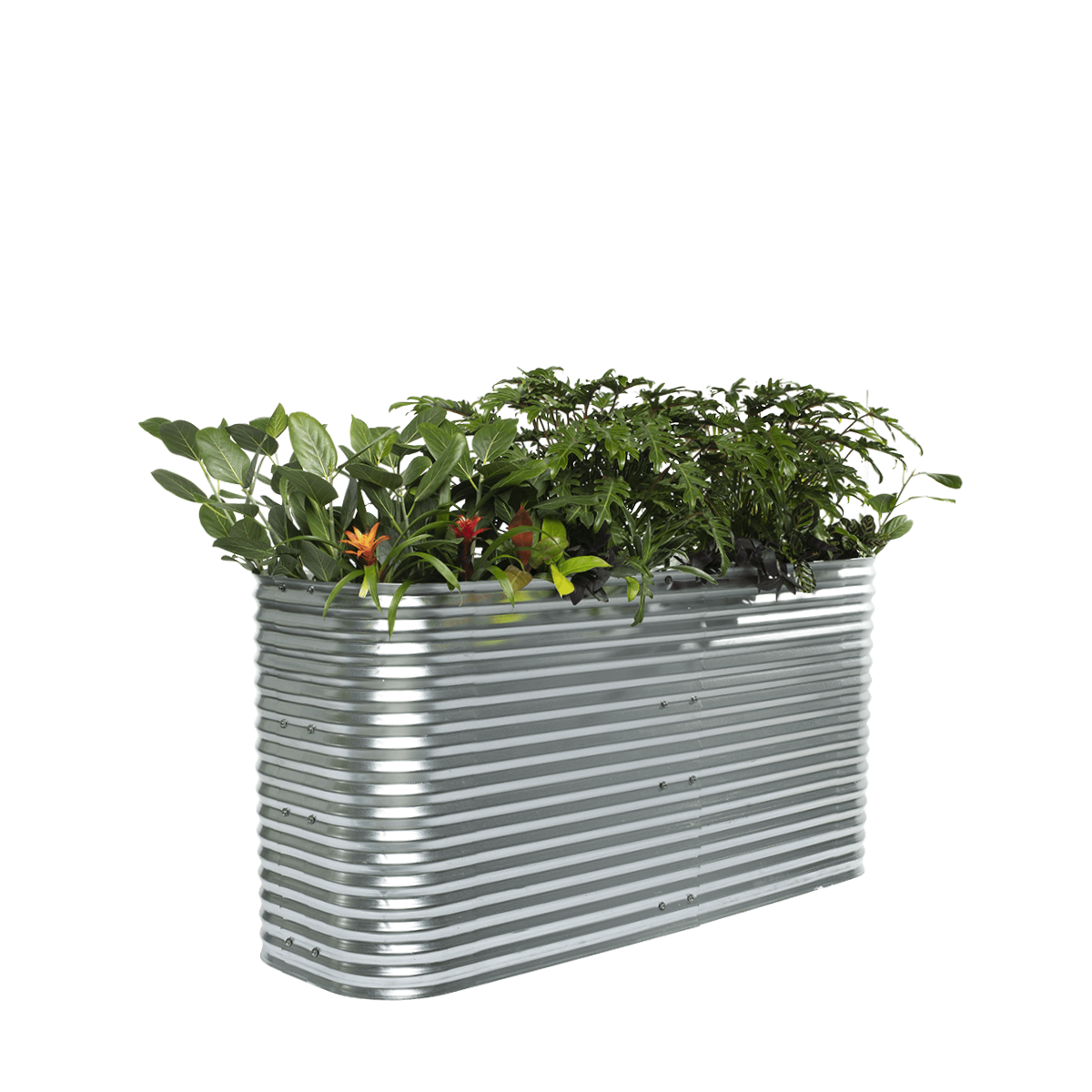 Cottage Raised Garden Bed – 91cm High | Galvanised Steel