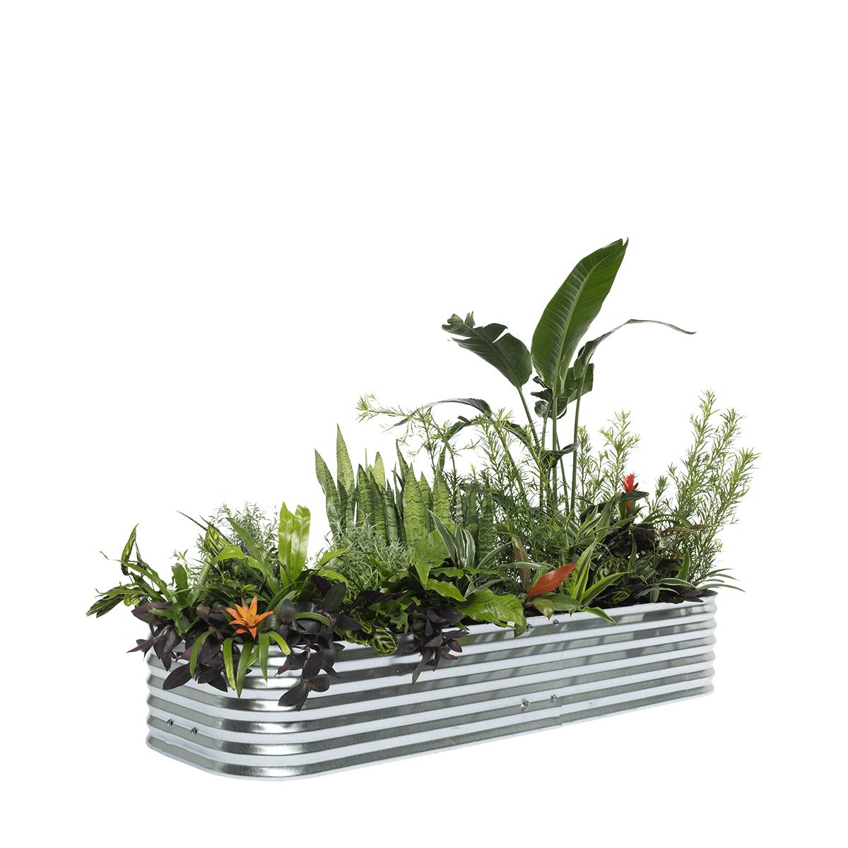 Allotment Mini Raised Garden Bed – 30cm High | Galvanised Steel